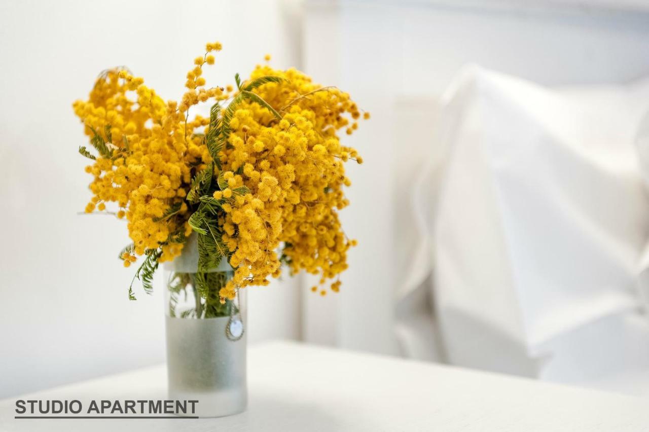 Apartments Rialto Gallery Szybenik Zewnętrze zdjęcie